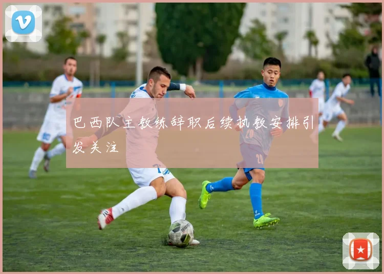 巴西队主教练辞职后续执教安排引发关注