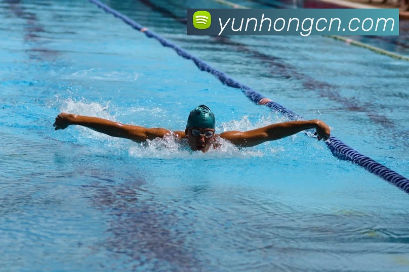 世界杯平台官网登录服务体系